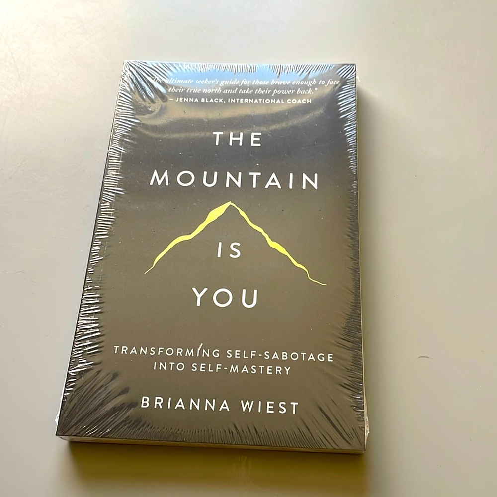 The Mountain Is You by Brianna Wiest